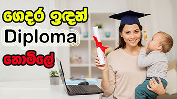 How to get a Diploma Certificate Online ගෙදර ඉඳන් Online Diploma එකක් කරමු
