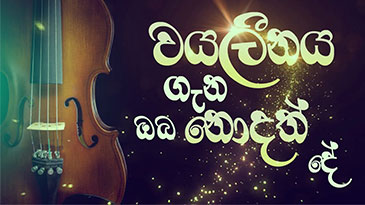 Violin Lesson in Sinhala? | වයලීනය ගැන සිංහලෙන්ම | Pandi - පණ්ඩි